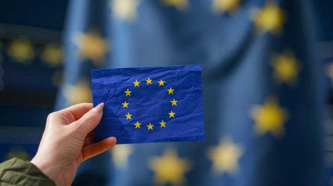Symbol EU v rukou uživatelky