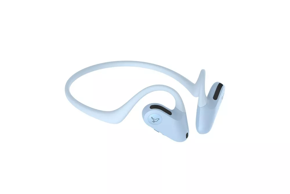 Libratone UP
