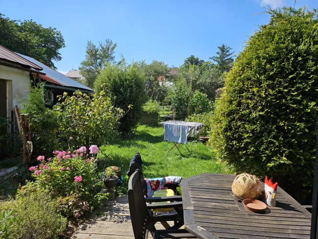 Fotografie pořízená Galaxy Z Flip 5