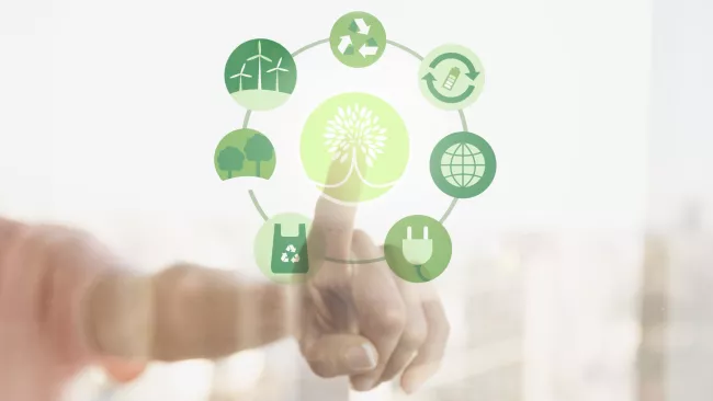 Uhlíková neutralita