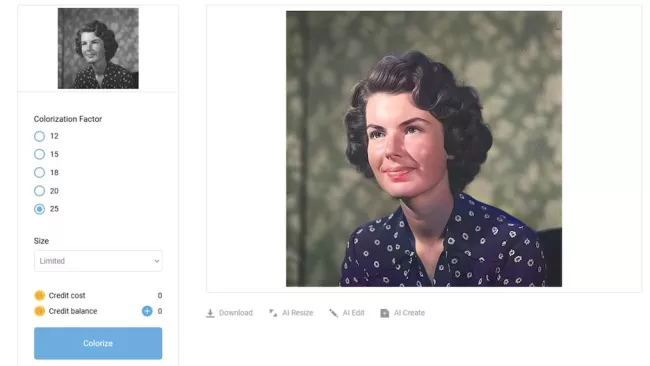Prostředí programu AI Picture Colorizer