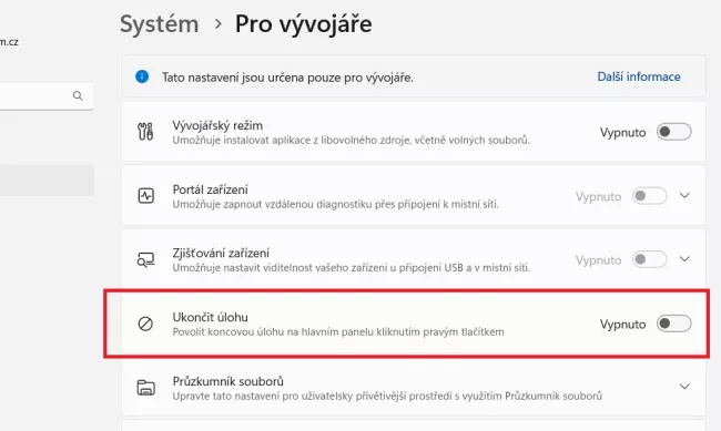 Nastavení Windows / Vývojářské možnosti