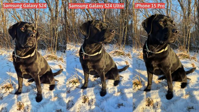 Srovnání fotografií S24, S24 Ultra a iPhonu 15 Pro
