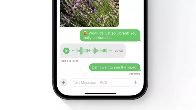 Apple iOS 18, RCS