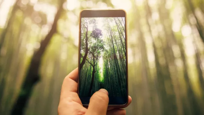 Srovnávací test nejlepších ekologických smartphonů