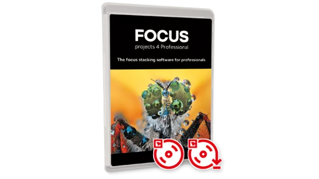 FOCUS project