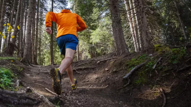 Test nejlepších fitness náramků