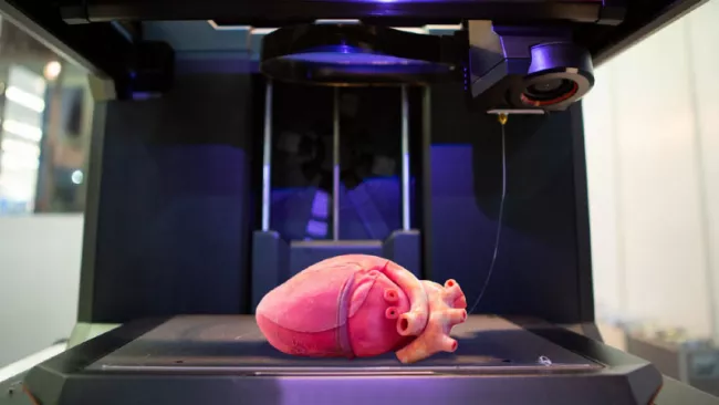 Orgány z 3D tiskárny