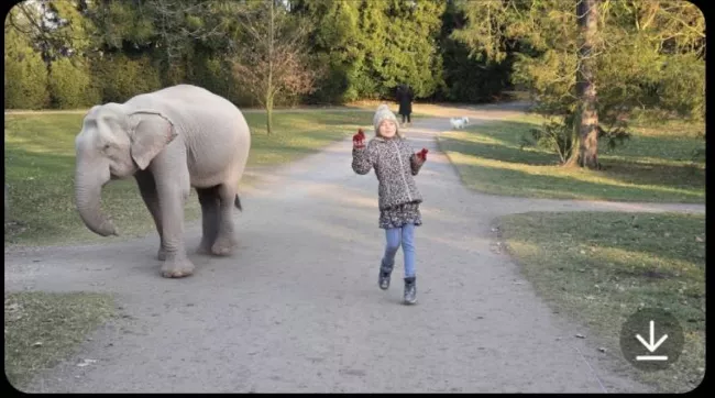 Samsung Galaxy S25 Plus