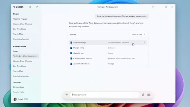 Možná nastavení funkce Copilot Vision