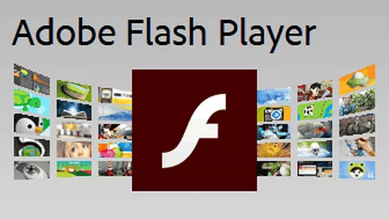 Adobe Flash