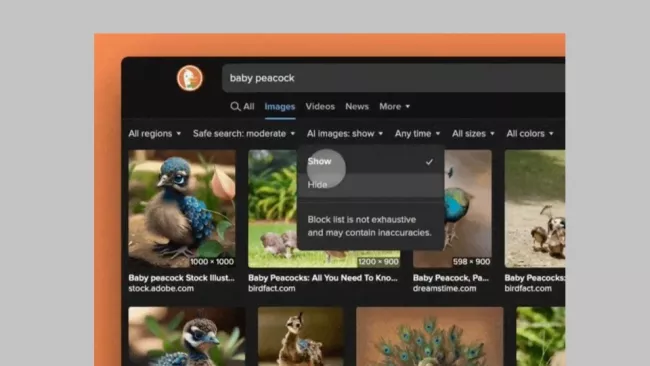 Nastavení zobrazení ve vyhledávači DuckDuckGo