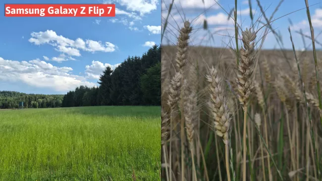 Samsung Galaxy Z Flip 7