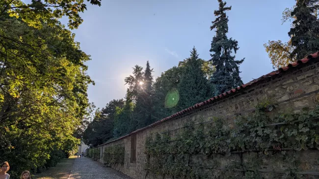 Google Pixel 10 Pro XL