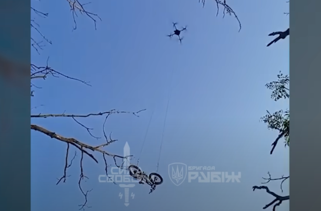 Dron