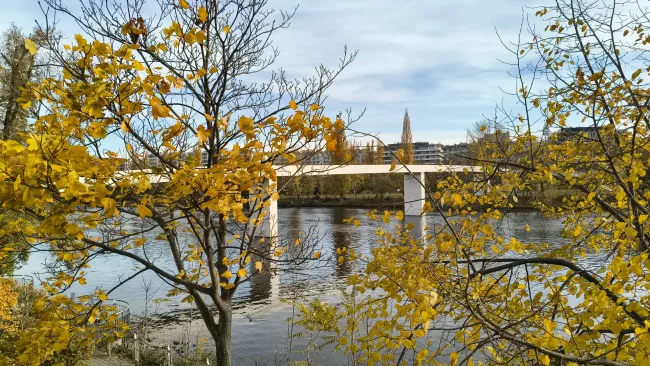 Motorola Moto G86 Power 5G