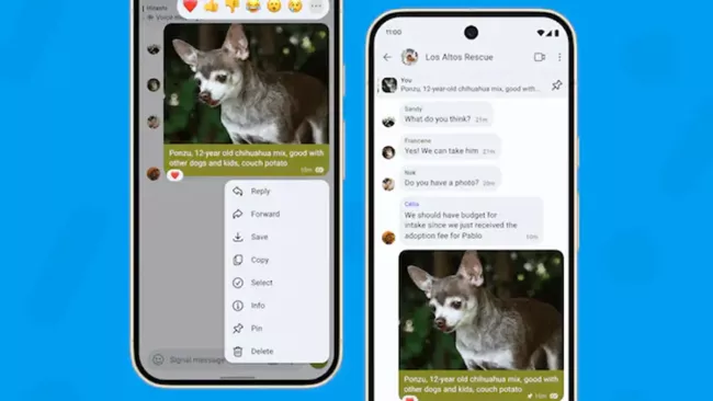 Nová funkce připnutí zprávy v Signalu