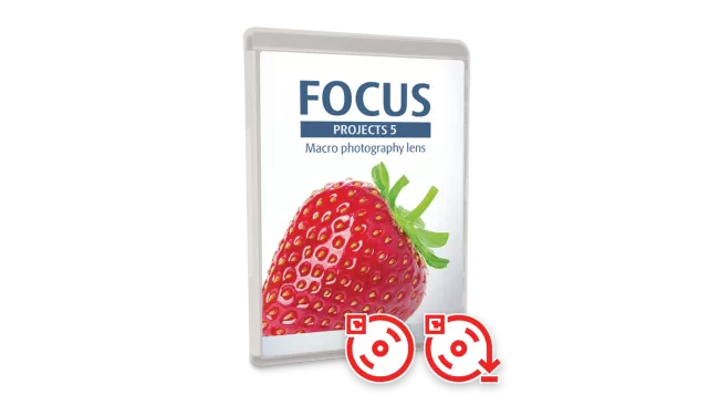 box_focus