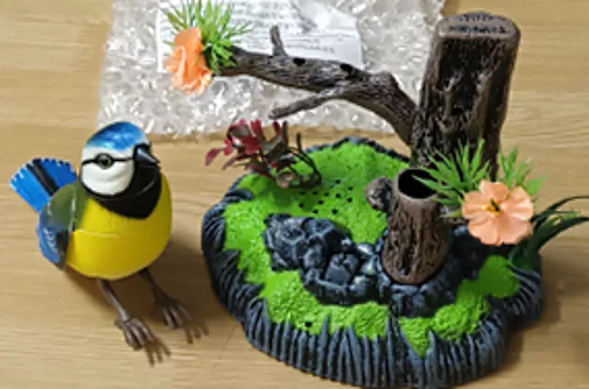 Mluvící sýkorka podle ČOI