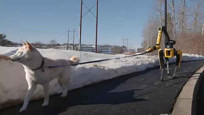 Robotický pes Spot dostal mozek: umí odečítat hodnoty z měřidel, uklidí, vyvenčí psa a plánuje