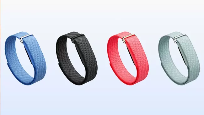 Fitness náramek Google Fitbit Air 2
