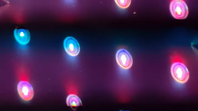 Samsung Micro-RGB