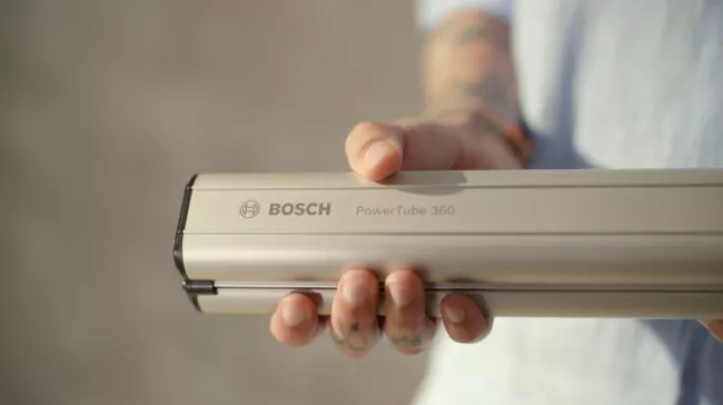 Bosch