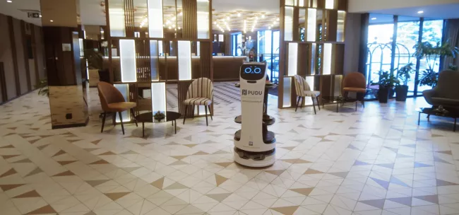 Robot Pudu