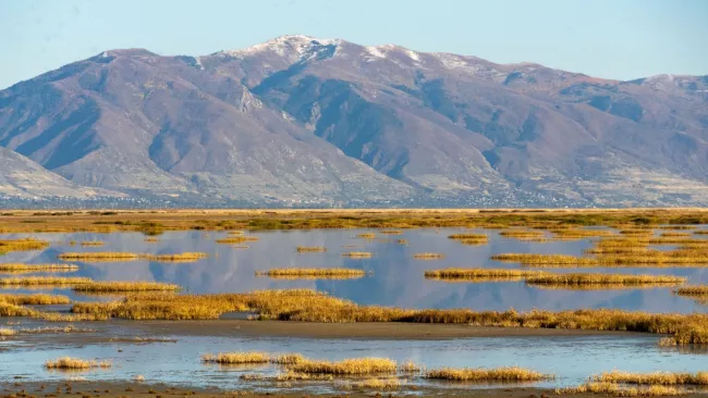 Velké solné jezero v USA