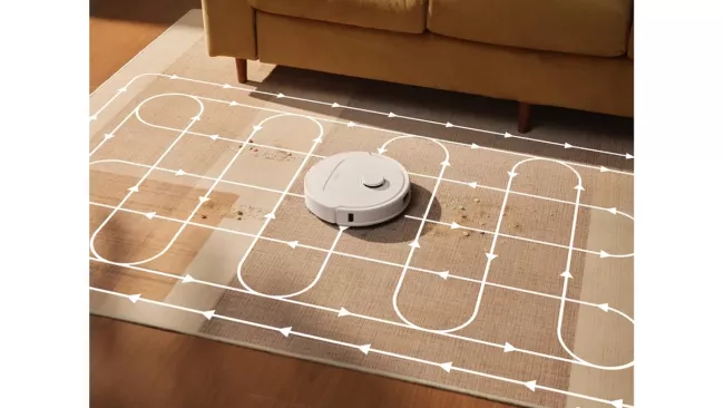 Roborock