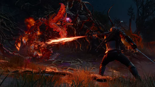 Witcher 3: Songs of the Past