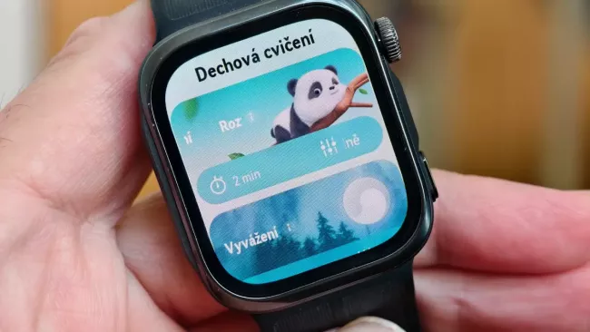 Huawei Watch D3