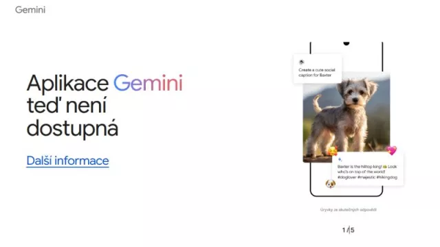 Gemini nedostupná