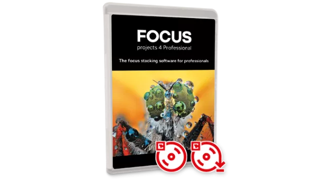 FOCUS project