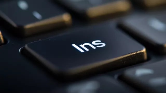 Ins