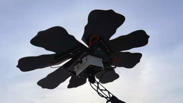 Slunečnice pro sběr fotovoltaické energie pro chod Guardiana