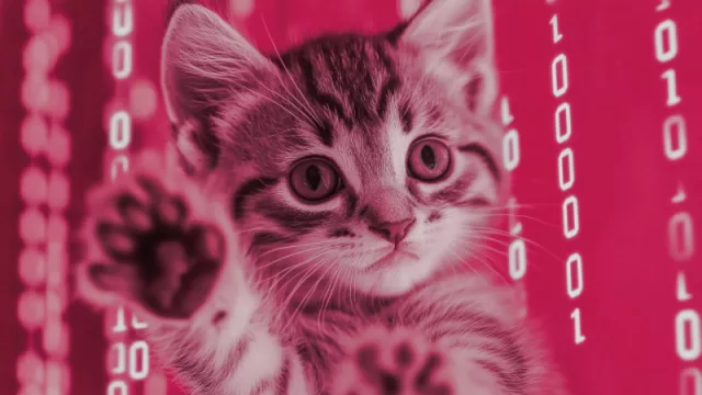 Bootkitty