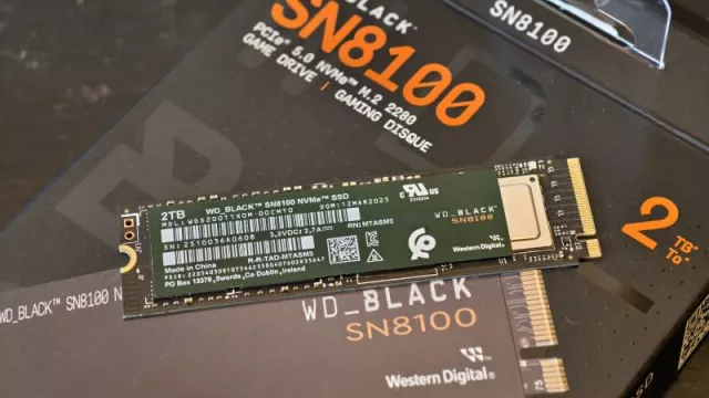 WD SN8100 2TB