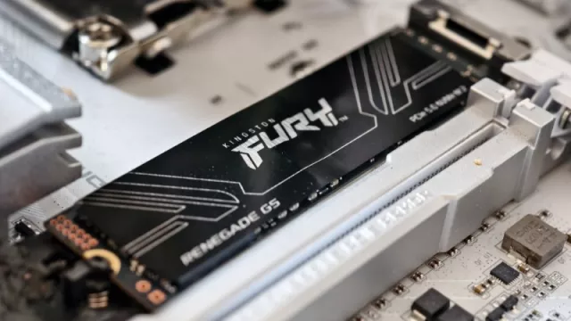 Kingston Fury Renegade G5