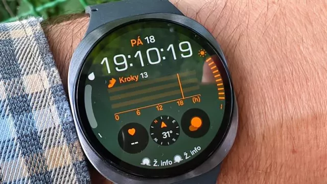 Samsung Galaxy Watch8 44mm