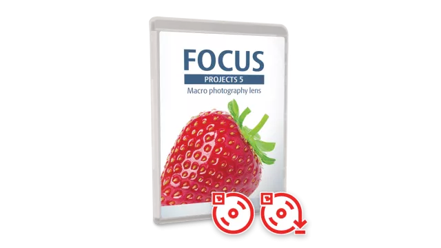 box_focus