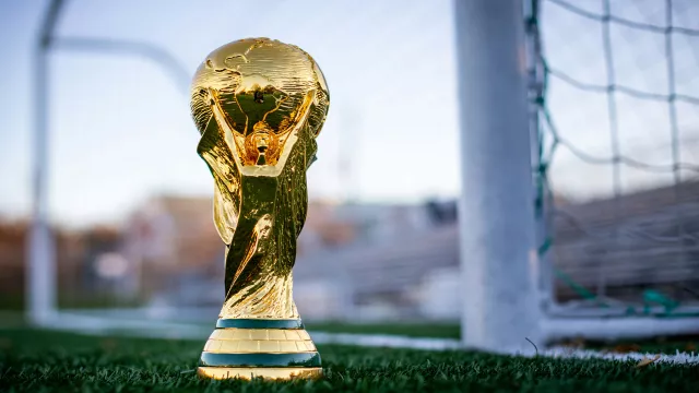 Fotbalová trofej