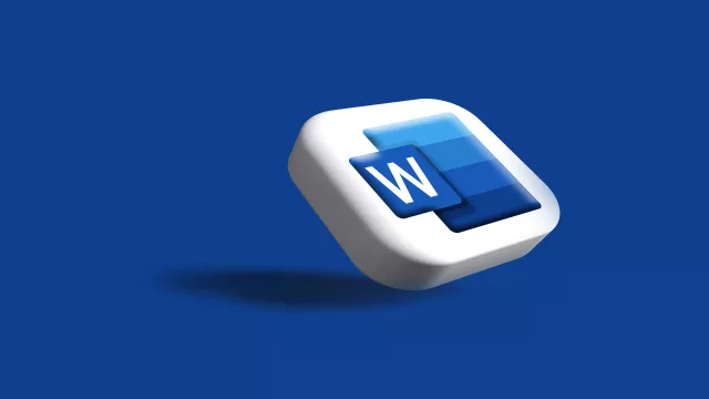 Microsoft Word