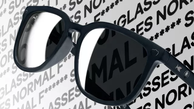 The Normal F***ing Sunglasses