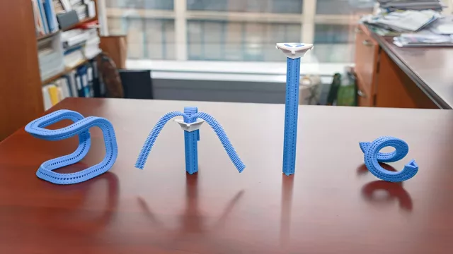 Y-zip