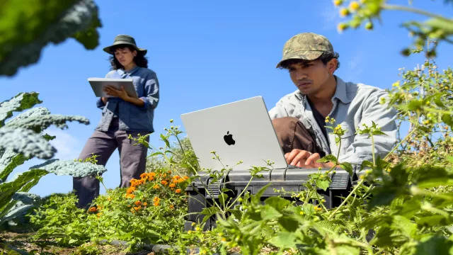 Apple MacBook Pro 14